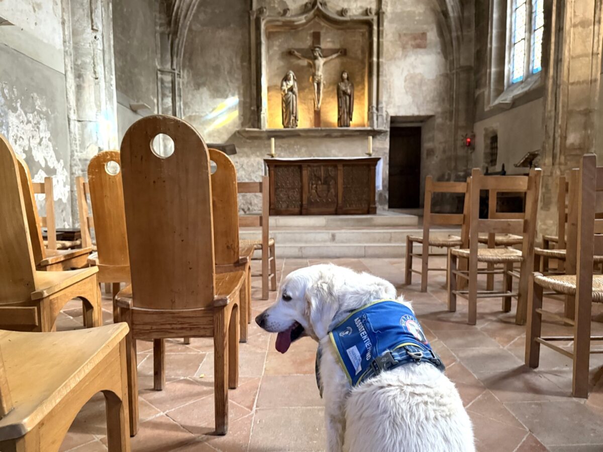 Plouf en het overherfsten