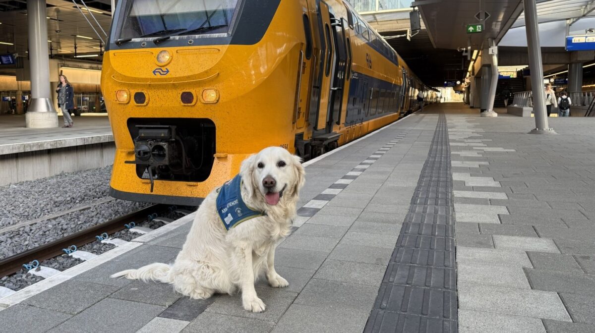 Plouf en de Tjoek-Tjoek